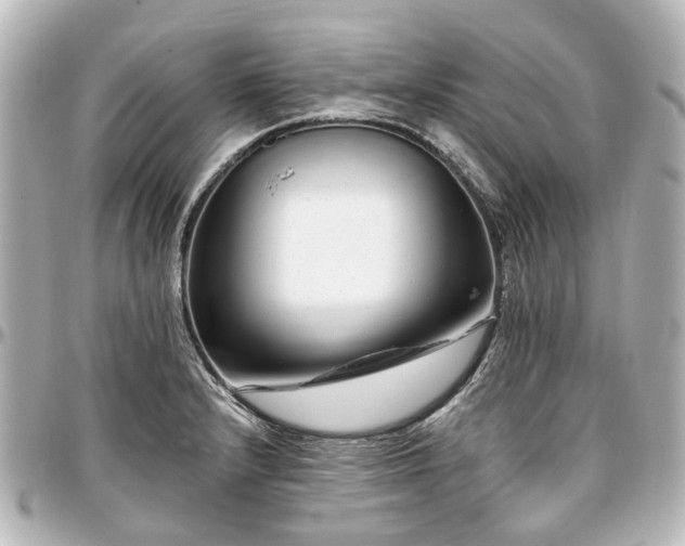 X0000097291232200802221304