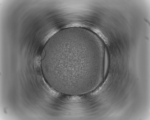 X0000097291233200802221304