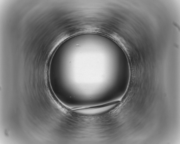 X0000097291235200802221304