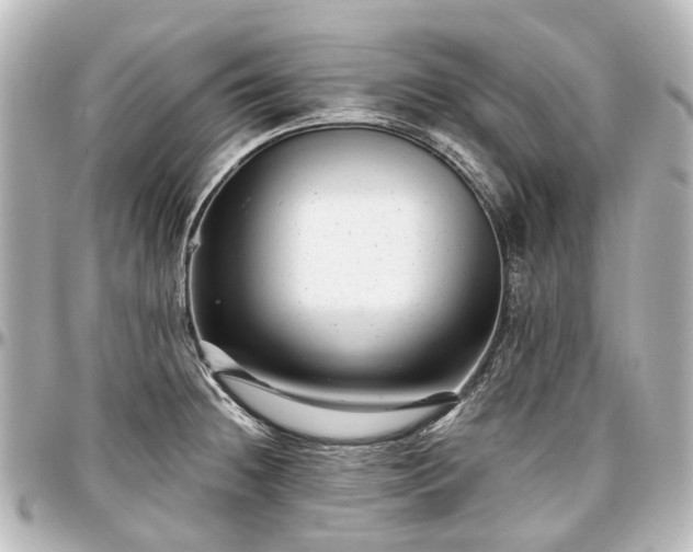 X0000097291236200802221304