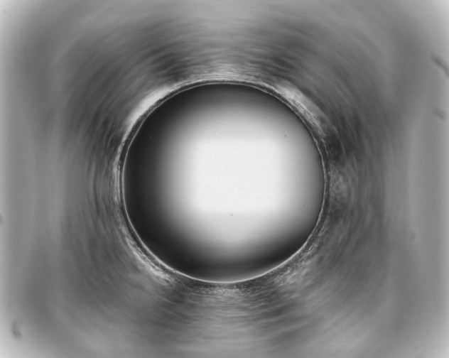 X0000097291238200802221304