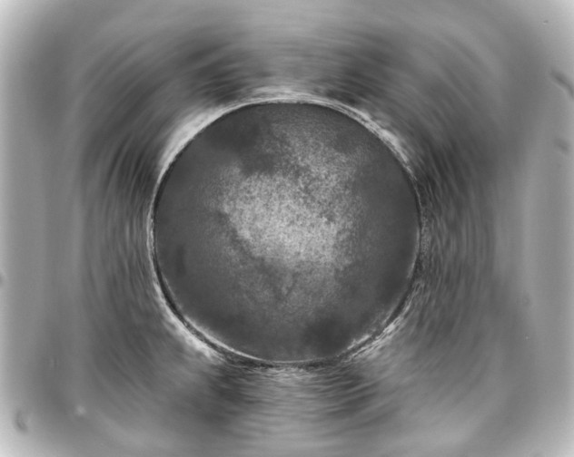 X0000097291239200802221304