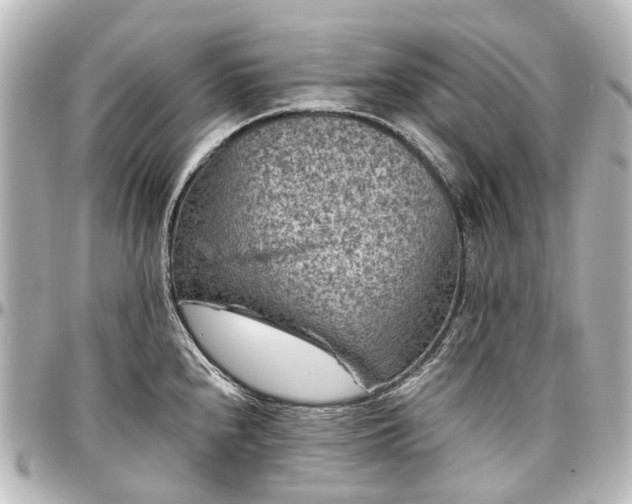 X0000097291240200802221304