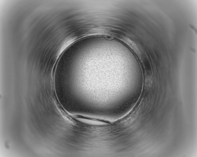 X0000097291242200802221304