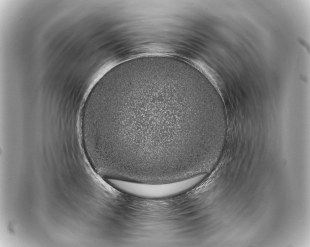 X0000097291243200802221304