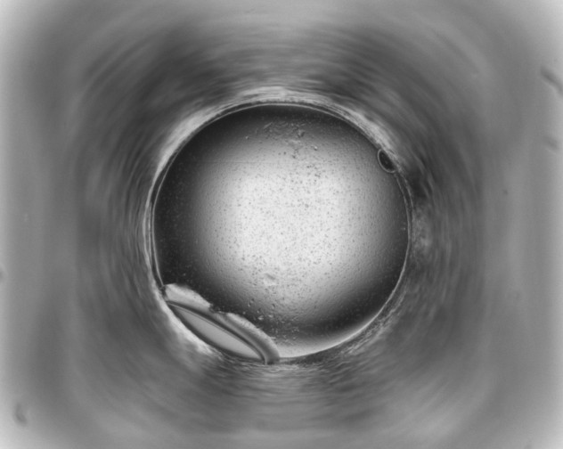 X0000097291247200802221304