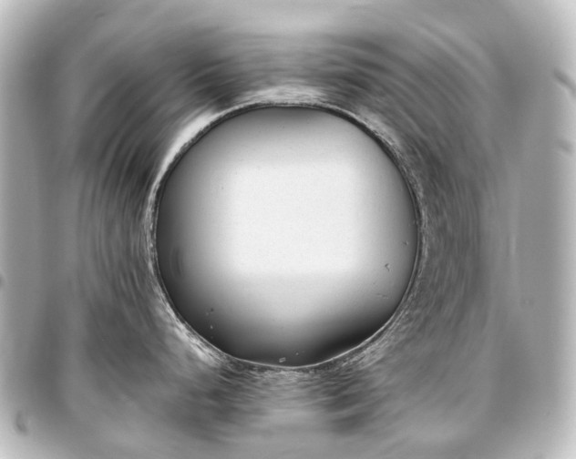 X0000097291248200802221304