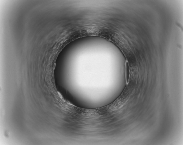 X0000097291249200802221304