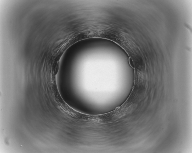 X0000097291250200802221304
