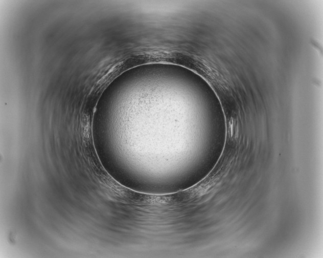 X0000097291251200802221304