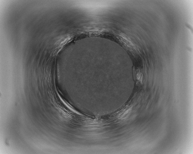 X0000097291252200802221304