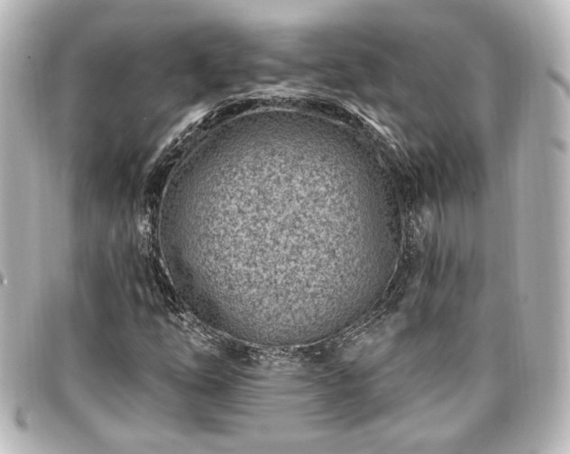 X0000097291254200802221304