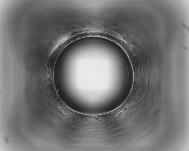 X0000097291255200802221304