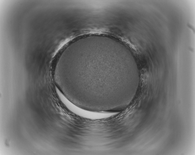 X0000097291256200802221304