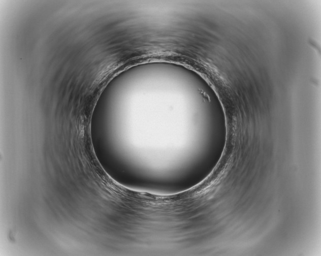 X0000097291257200802221304