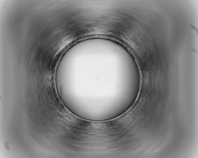 X0000097291258200802221304