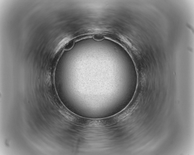 X0000097291259200802221304