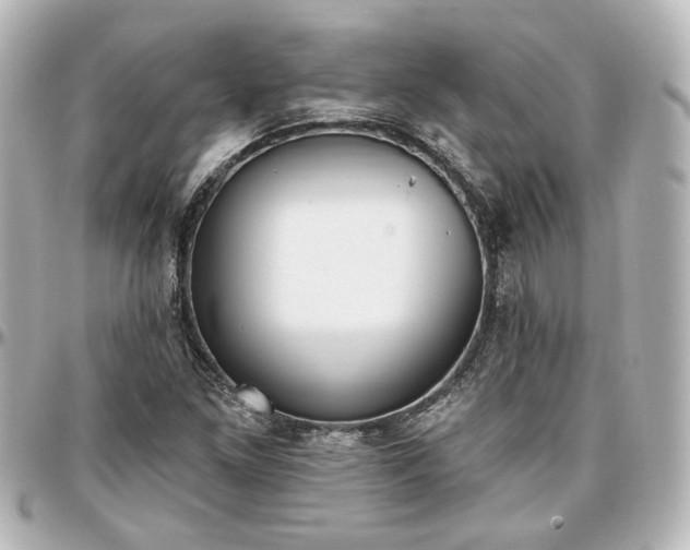 X0000097291261200802221304