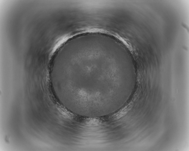 X0000097291263200802221304