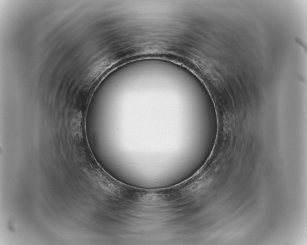 X0000097291265200802221304