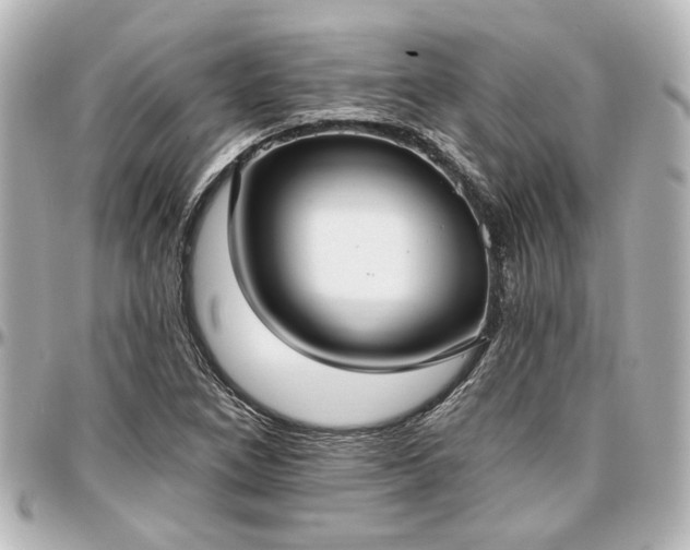 X0000097291266200802221304