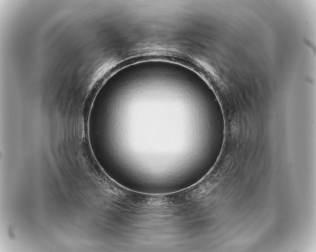 X0000097291267200802221304