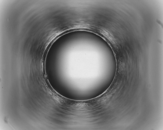 X0000097291268200802221304