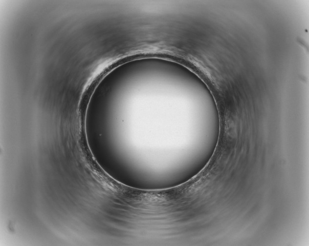 X0000097291270200802221304