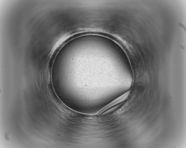 X0000097291271200802221304