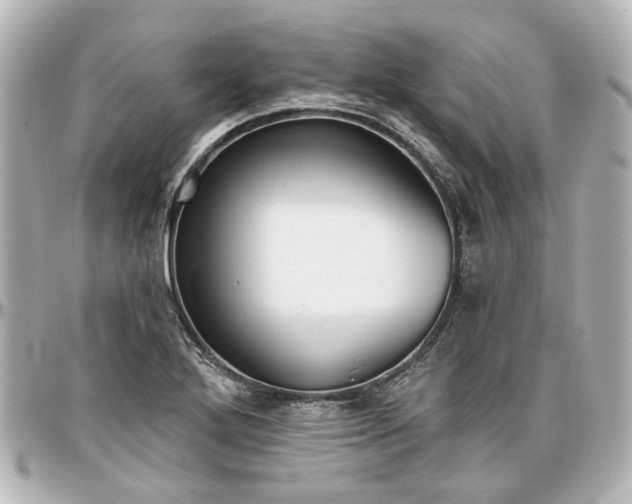 X0000097291272200802221304