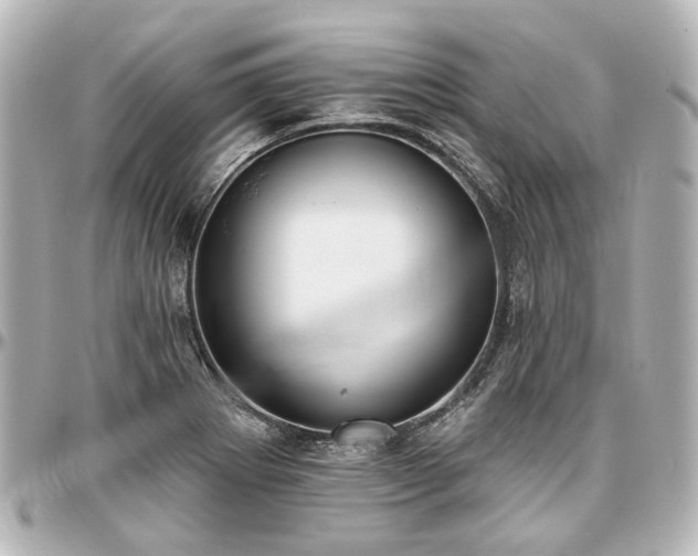 X0000097291273200802221304