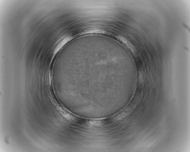 X0000097291274200802221303