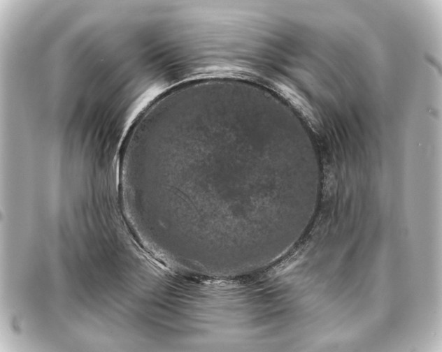 X0000097291275200802221303
