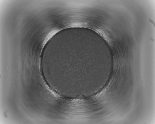 X0000097291277200802221303