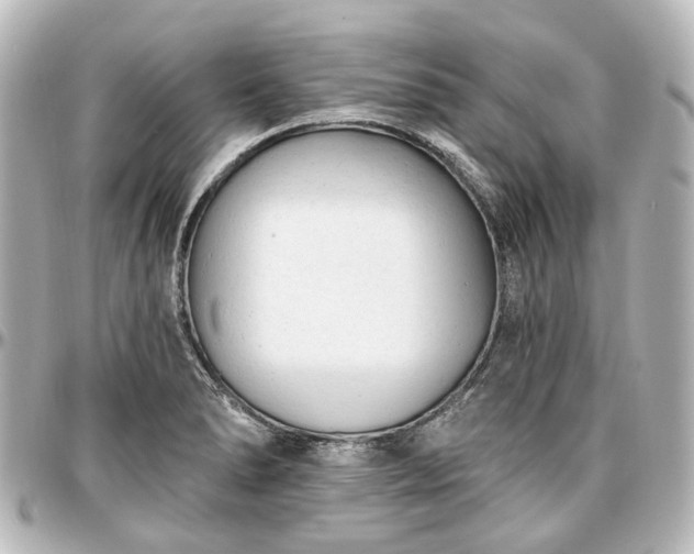 X0000097291278200802221303