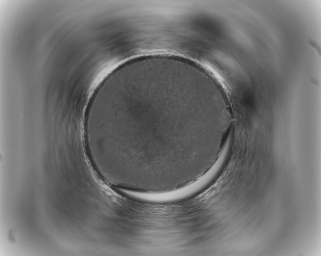 X0000097291279200802221303