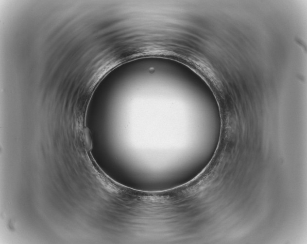 X0000097291281200802221303