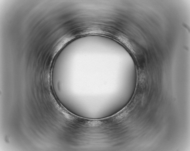 X0000097291282200802221303