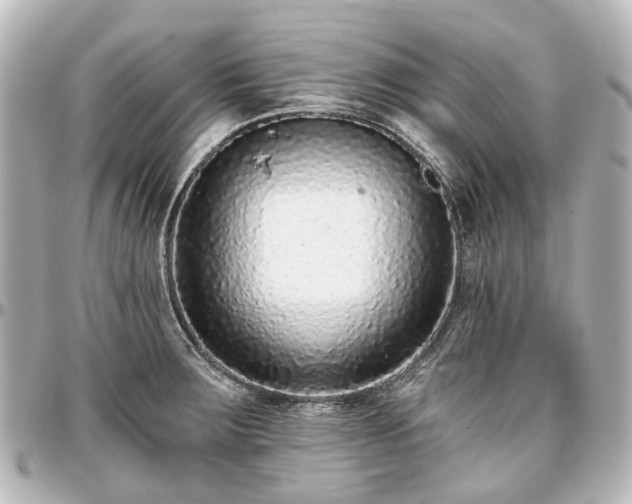 X0000097291283200802221303
