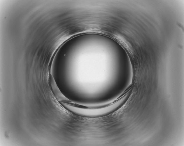 X0000097291284200802221303