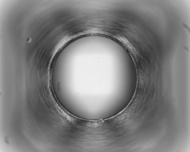 X0000097291286200802221303