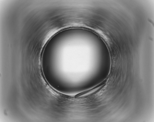 X0000097291287200802221303