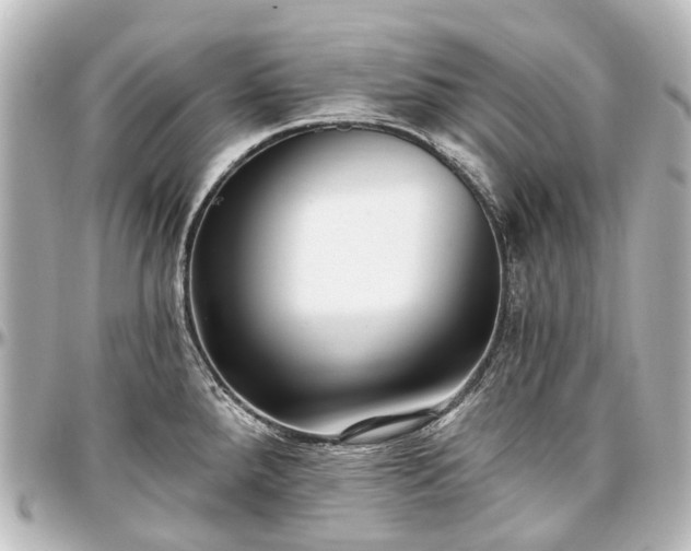X0000097291288200802221303
