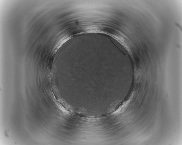 X0000097291289200802221303