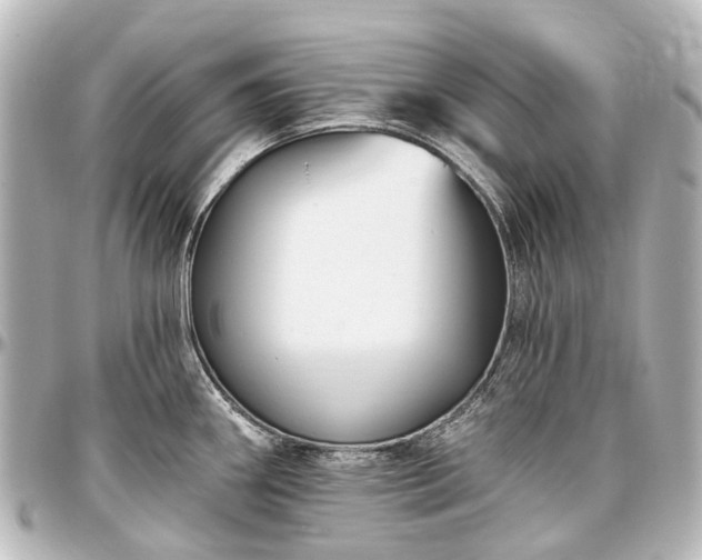 X0000097291290200802221303