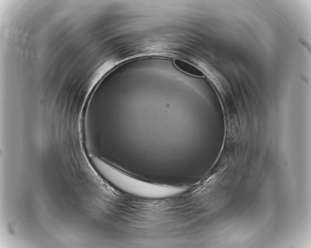 X0000097291291200802221303