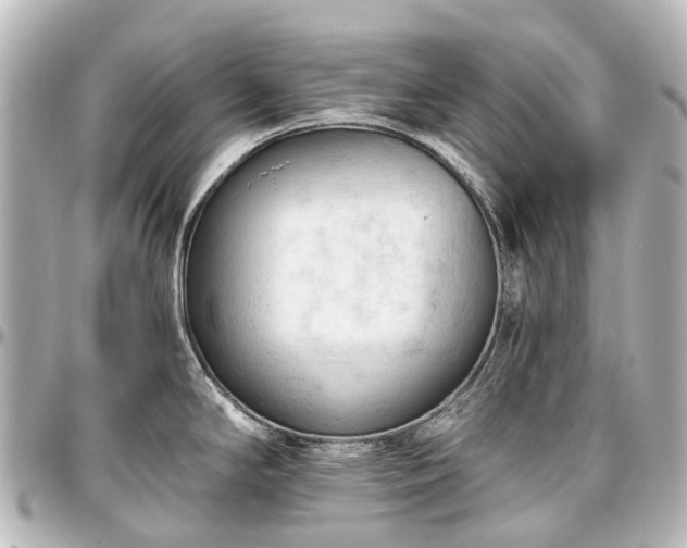 X0000097291294200802221303