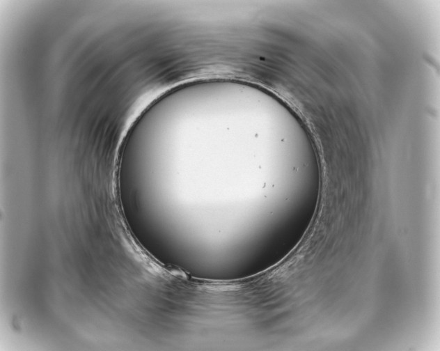 X0000097291296200802221303