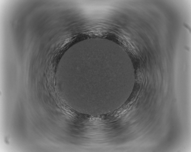 X0000097291297200802221302