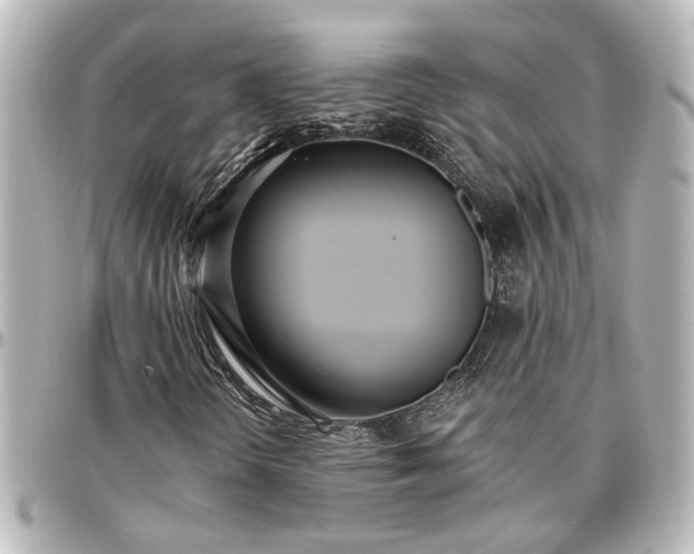 X0000097291298200802221302